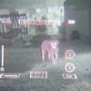 Infiray Jerry FB Fusion Thermal Night Vision Binocular - Image 6