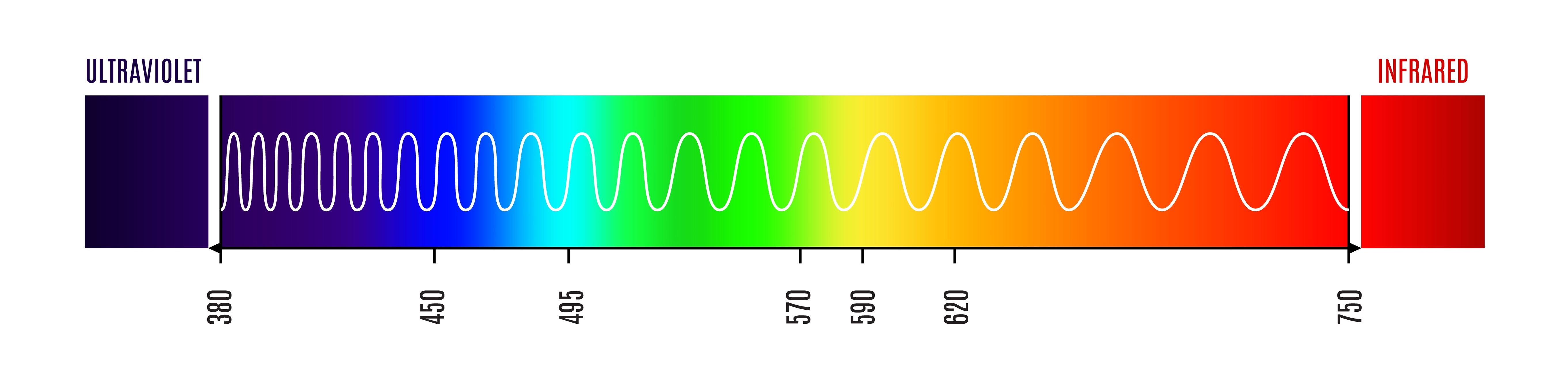 The visible light spectrum from 380 to 750 nanometers, with ultraviolet on the left and infrared on the right